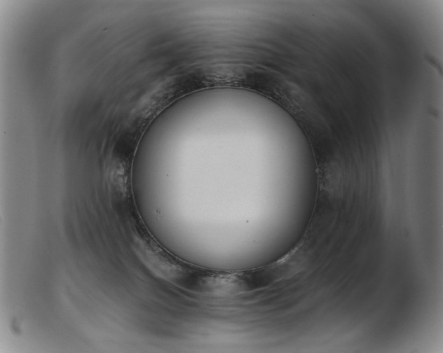 X0000103910086200809191312