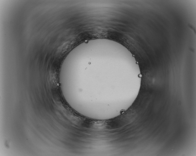 X0000103910088200809191312