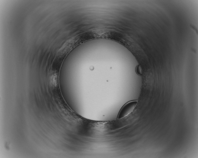 X0000103910090200809191312