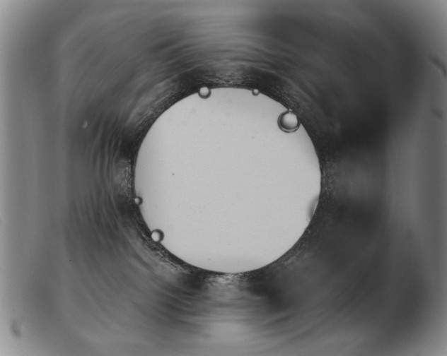X0000103910092200809191312
