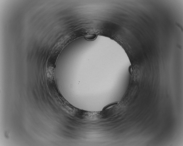X0000103910093200809191312