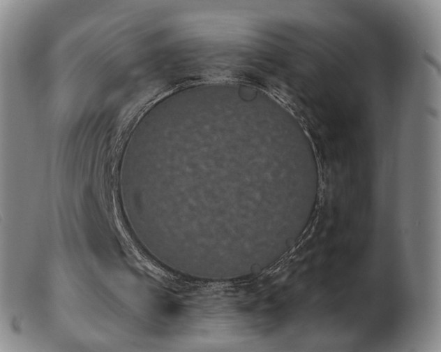 X0000103910097200809191311
