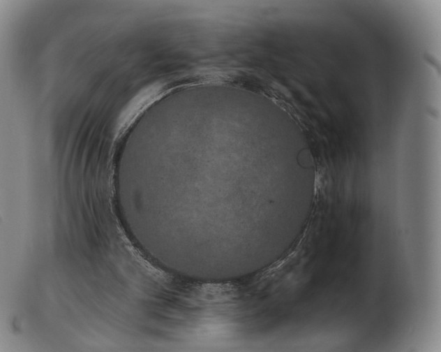 X0000103910101200809191311