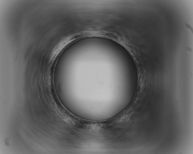 X0000103910103200809191311
