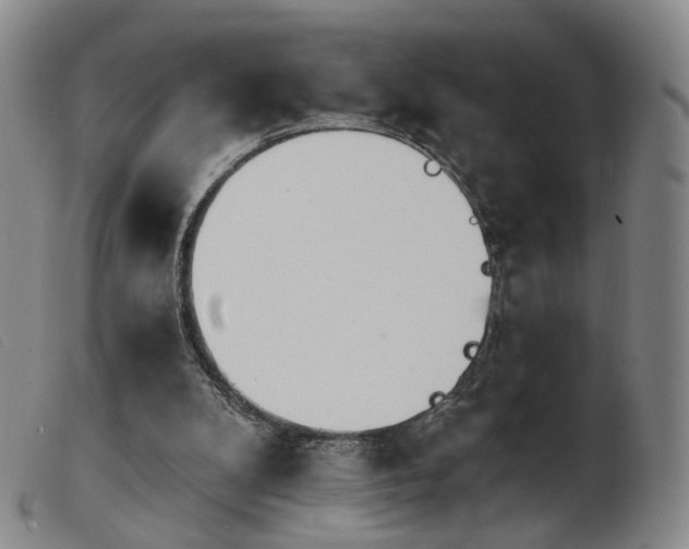 X0000103910104200809191311