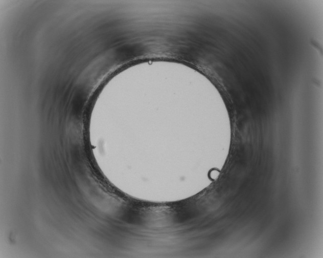 X0000103910108200809191311