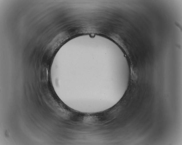 X0000103910109200809191311