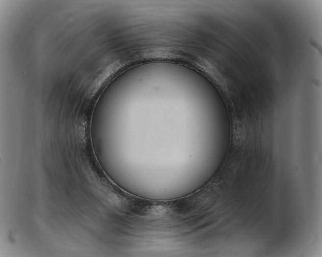 X0000103910111200809191311