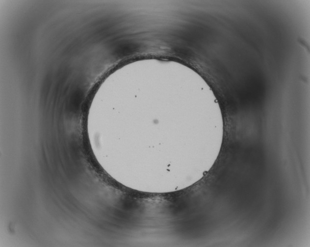 X0000103910112200809191311