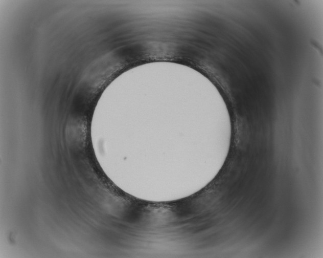 X0000103910113200809191311