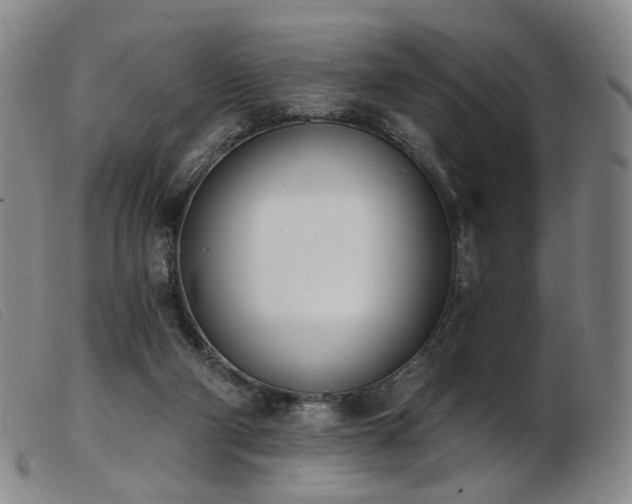 X0000103910114200809191311