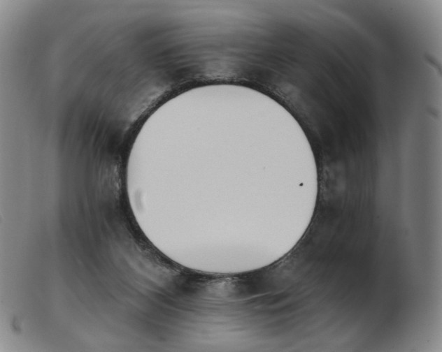 X0000103910116200809191311