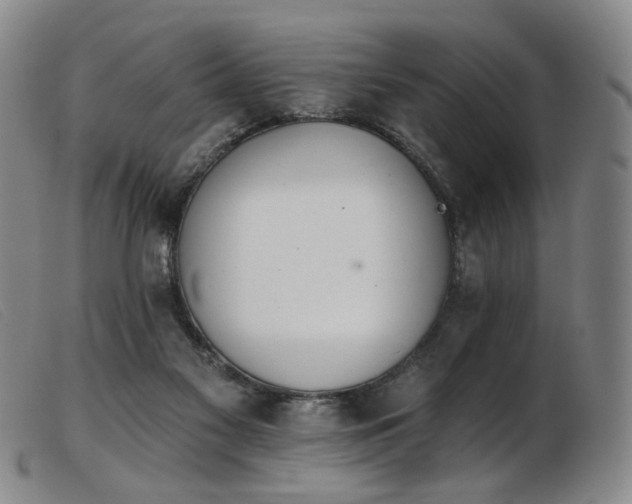 X0000103910117200809191311