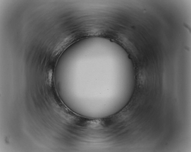 X0000103910118200809191311