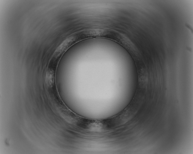 X0000103910119200809191311