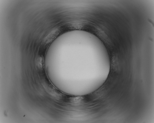 X0000103910122200809191311