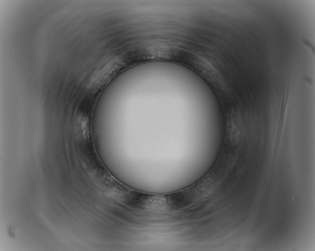 X0000103910123200809191311