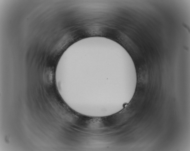 X0000103910124200809191311
