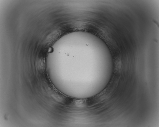 X0000103910126200809191311