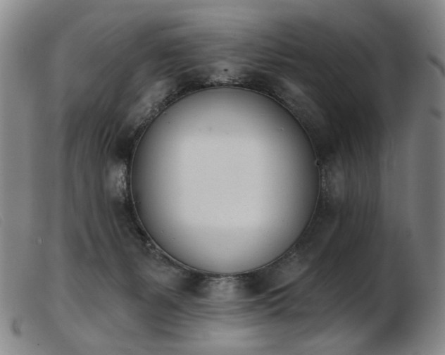 X0000103910127200809191311