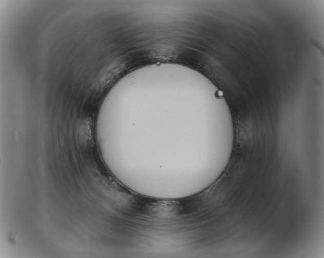 X0000103910128200809191311