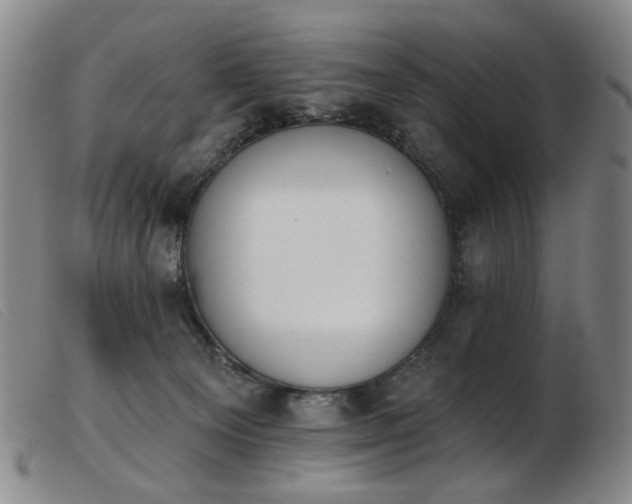 X0000103910129200809191311