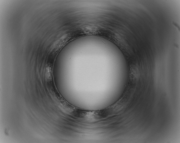 X0000103910130200809191311