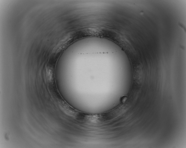X0000103910131200809191311