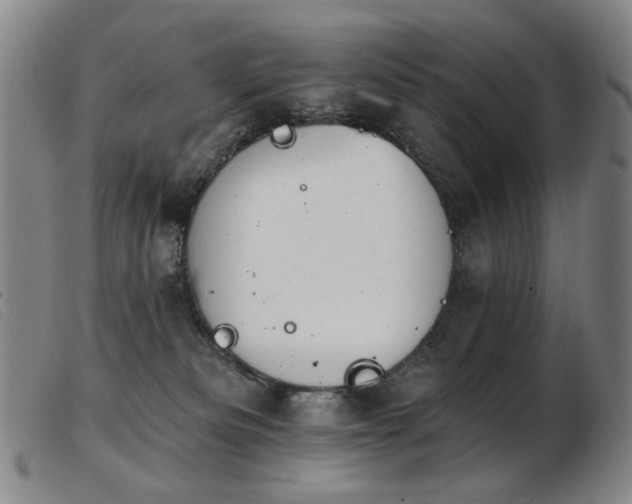 X0000103910133200809191311