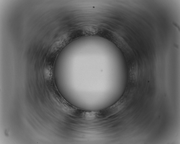 X0000103910134200809191311