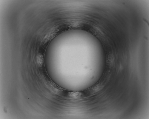 X0000103910135200809191311