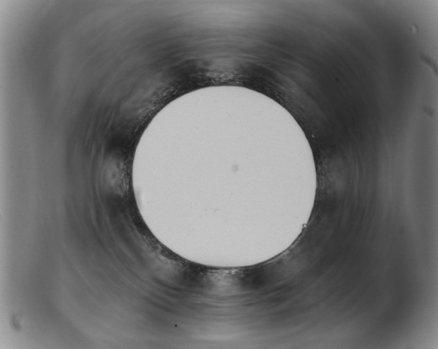 X0000103910136200809191311
