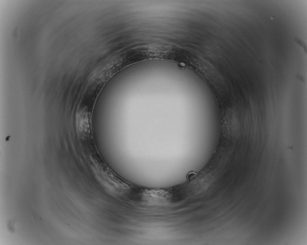 X0000103910137200809191311