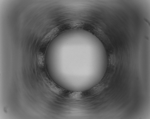 X0000103910138200809191311
