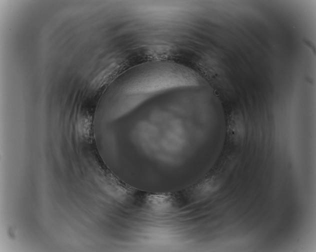X0000103910139200809191311