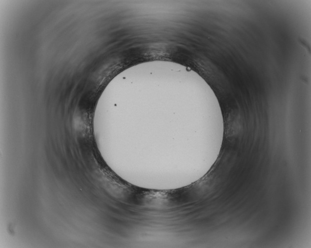 X0000103910140200809191311