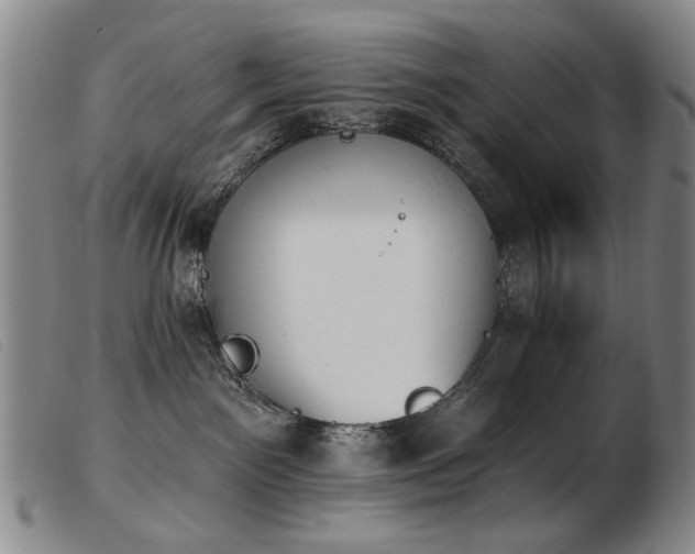 X0000103910141200809191311