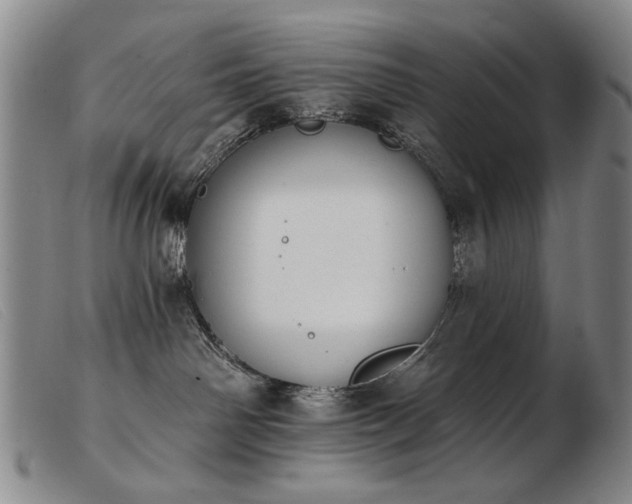 X0000103910142200809191311