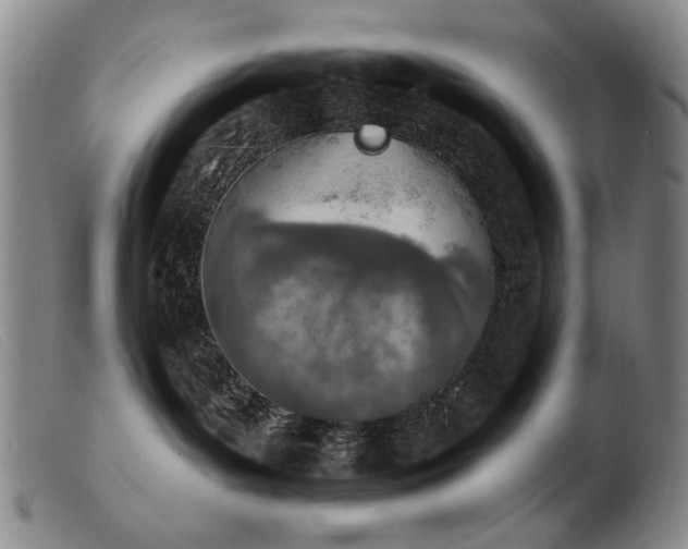 X0000103910143200809191311