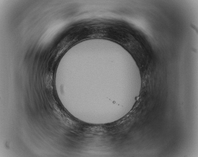 X0000103910146200809191310