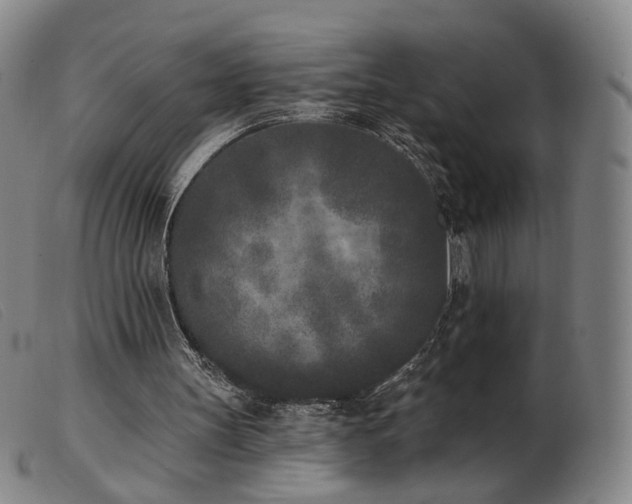 X0000103910147200809191310