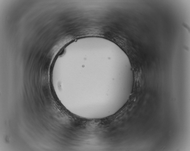 X0000103910148200809191310