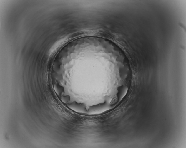 X0000103910149200809191310