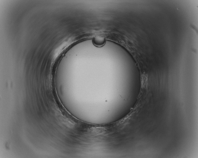 X0000103910150200809191310
