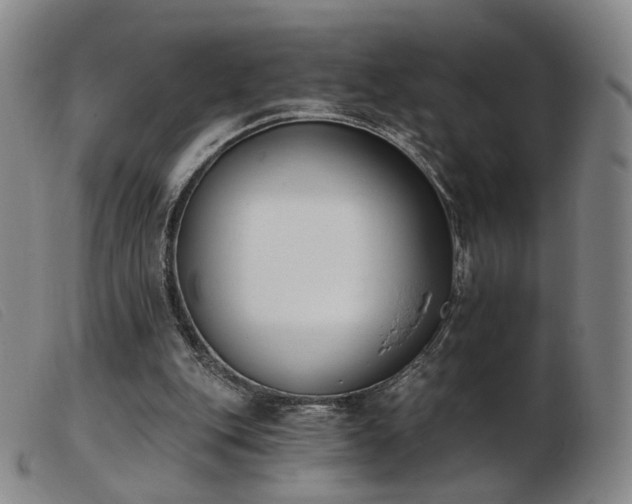 X0000103910151200809191310