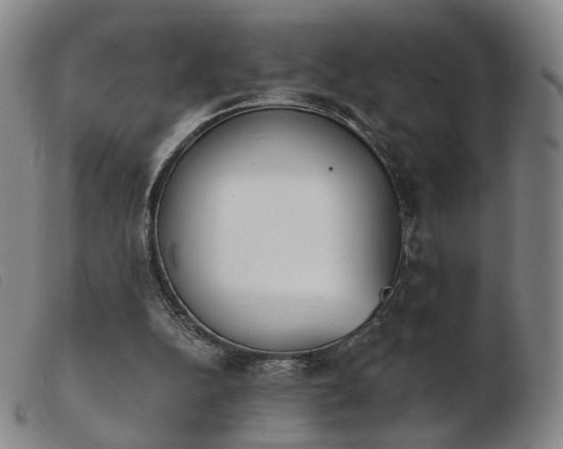 X0000103910152200809191310