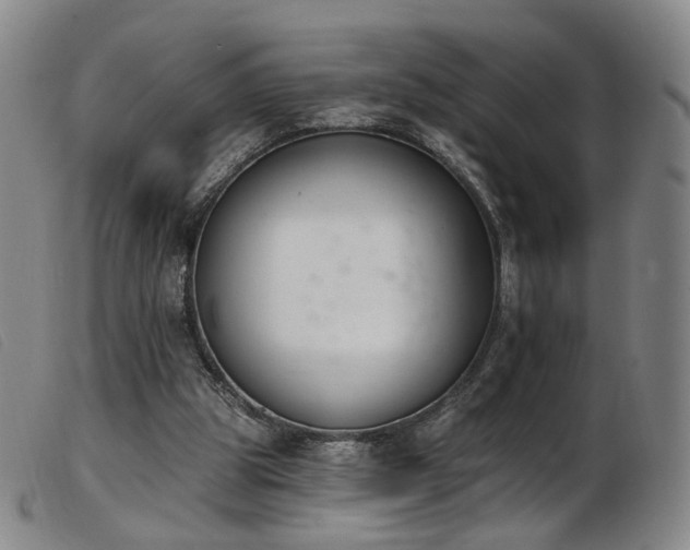 X0000103910153200809191310