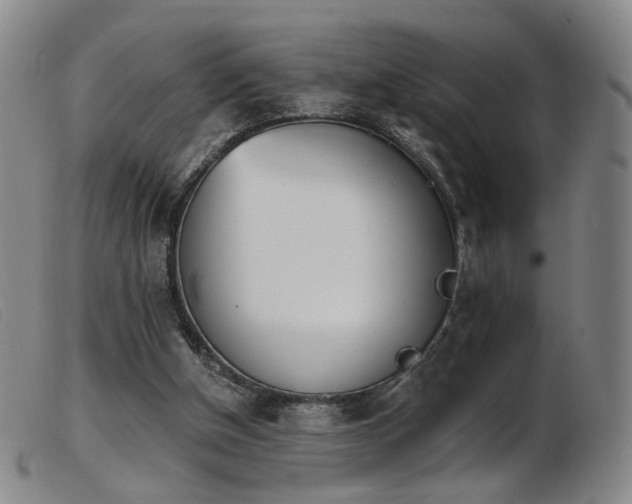 X0000103910154200809191310