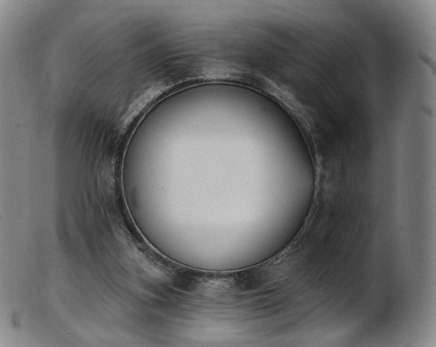 X0000103910155200809191310
