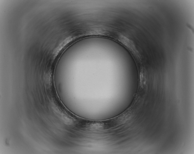 X0000103910156200809191310